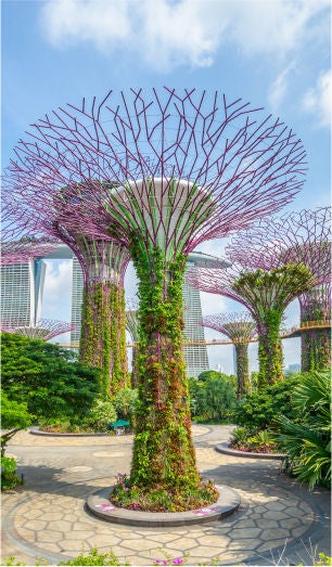gardens-by-the-bay gardens-by-the-bay