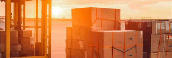 Cargo