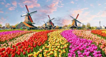 amsterdam