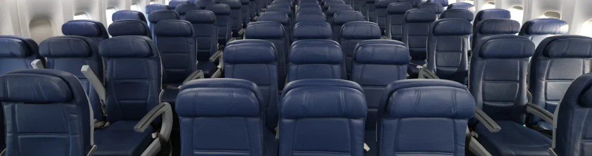 Buying extra seat in Air India Buying extra seat in Air India