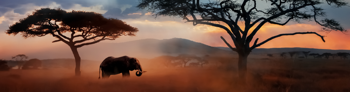 africa