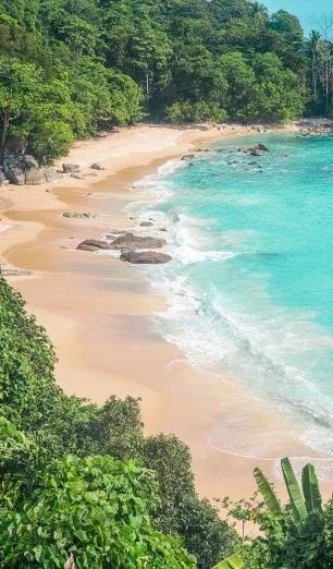 banana-beach banana-beach