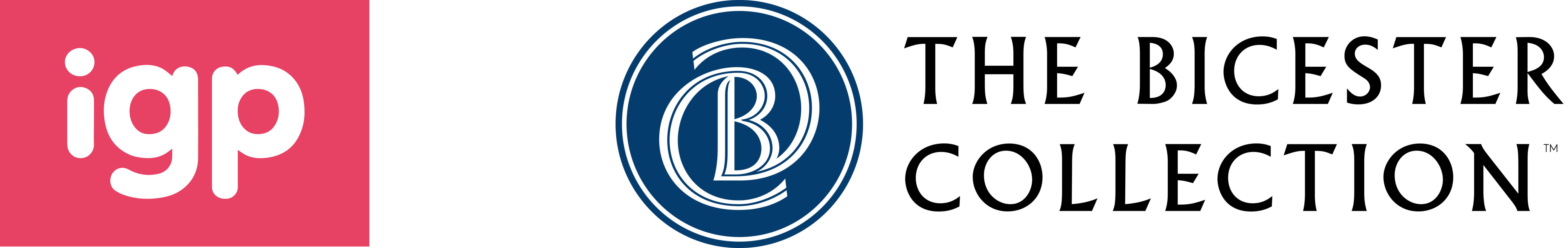 logo_img